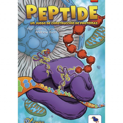Peptide El juego de construcción de proteínas (Español)